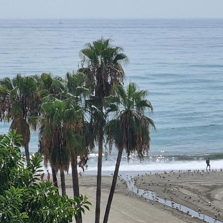 Apartamentos Real 81 Estepona Dış mekan fotoğraf