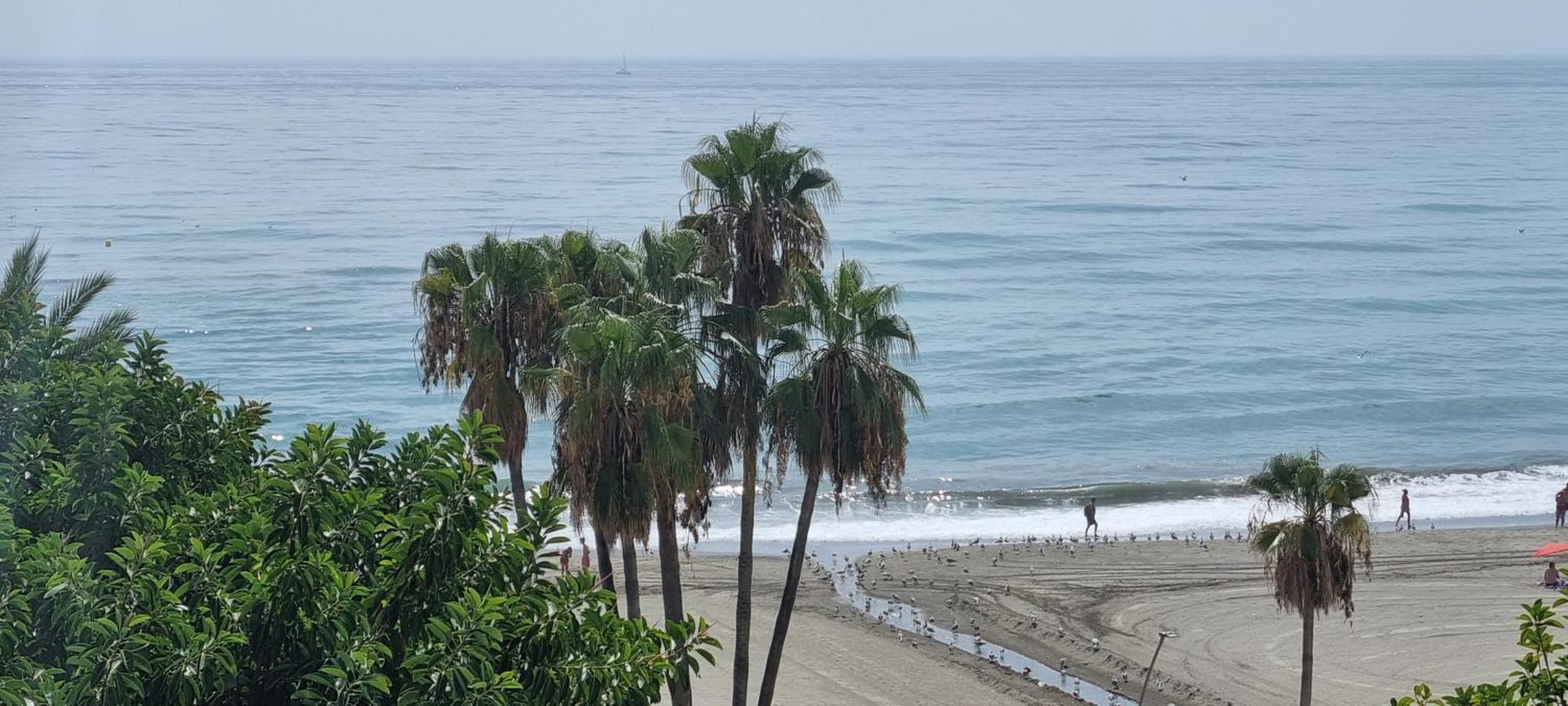 Apartamentos Real 81 Estepona Dış mekan fotoğraf